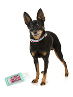 The Dog Tan Squeaker