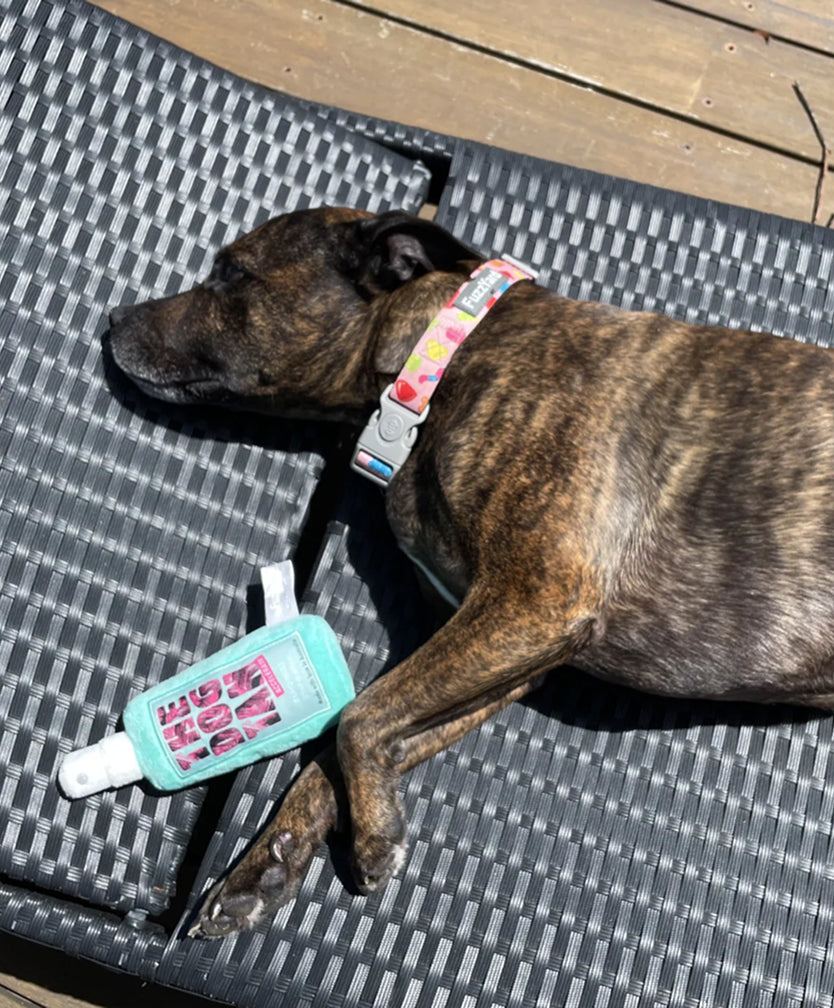 The Dog Tan Squeaker