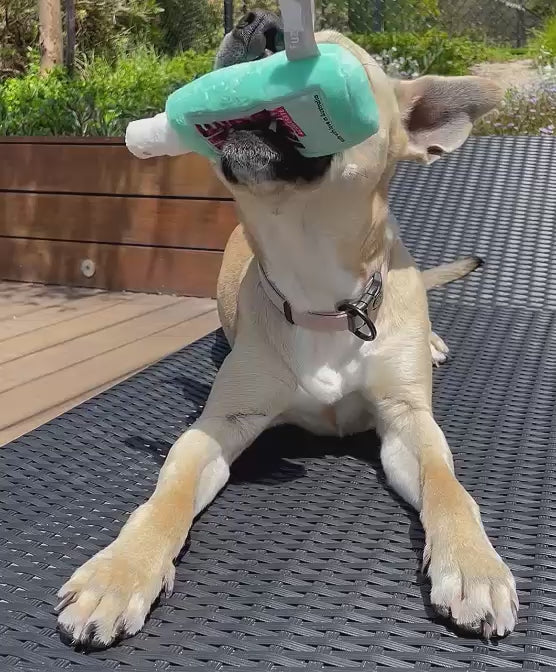 Load video: The Dog Tan Squeaker